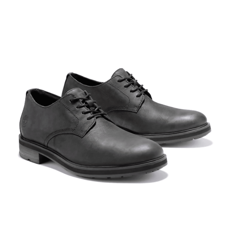 Timberland-Chaussure Oxford Windbuck Pour Homme-A27UR-001-2