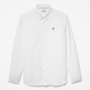 Timberland - Chemise Elevated Oxford - A21XF - A94 - 1