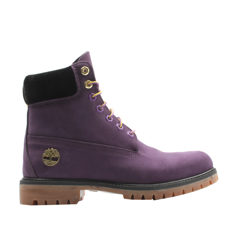 Timberland-6-Inch Boot Premium Collaboration NBA Raptor-A285H-527-1